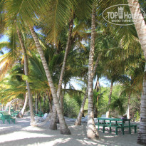 фото из отзыва ID 1111380