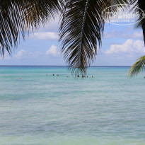 фото из отзыва ID 1111380