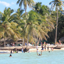 фото из отзыва ID 1111380