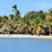 фото из отзыва ID 1111380