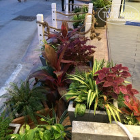 фото из отзыва ID 1111468