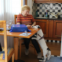 фото из отзыва ID 1111493