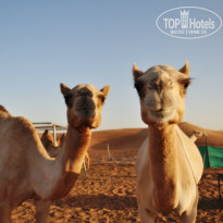 фото из отзыва ID 1111656