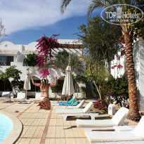 фото из отзыва ID 1112216