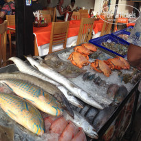 фото из отзыва ID 1112410