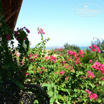 фото из отзыва ID 1112594