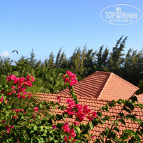 фото из отзыва ID 1112594