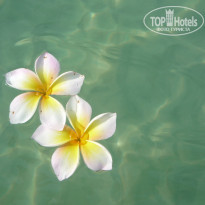 фото из отзыва ID 1112745