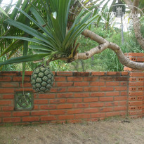 фото из отзыва ID 1112915