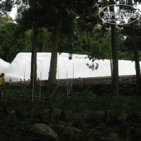 фото из отзыва ID 1112915