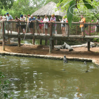 фото из отзыва ID 1112915