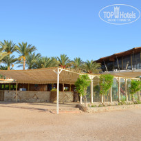 фото из отзыва ID 1113090