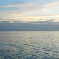 фото из отзыва ID 1113245