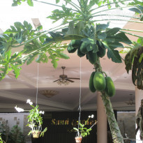 фото из отзыва ID 1113312