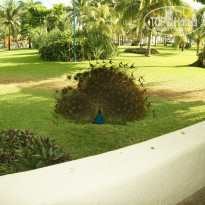 фото из отзыва ID 1113407