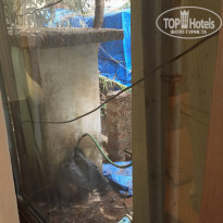 фото из отзыва ID 1113463