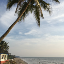 фото из отзыва ID 1113463