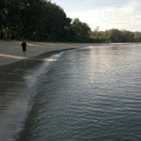 фото из отзыва ID 1113474