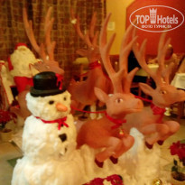 фото из отзыва ID 1113571