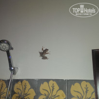 фото из отзыва ID 1113617