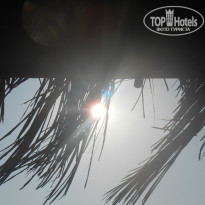 фото из отзыва ID 1113781