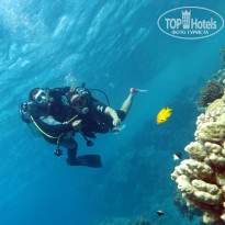 фото из отзыва ID 1114013