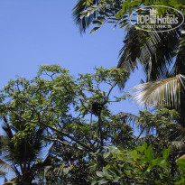 фото из отзыва ID 1114334