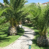 фото из отзыва ID 1114561