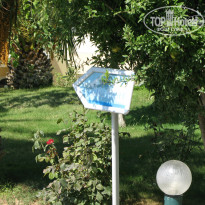 фото из отзыва ID 1114561