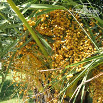 фото из отзыва ID 1114561