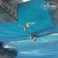 фото из отзыва ID 1114574