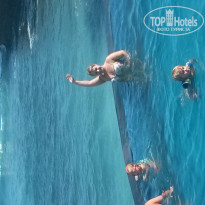 фото из отзыва ID 1114574