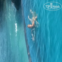 фото из отзыва ID 1114574