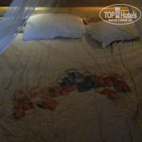 фото из отзыва ID 1114574