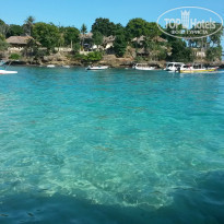 фото из отзыва ID 1114574