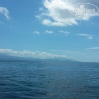 фото из отзыва ID 1114574