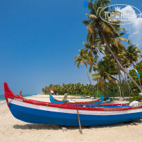 фото из отзыва ID 1114736