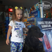 фото из отзыва ID 1114931