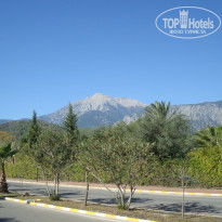 фото из отзыва ID 1115255