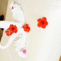 фото из отзыва ID 1115326
