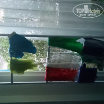 фото из отзыва ID 1111456