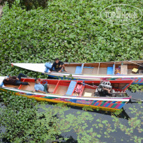 фото из отзыва ID 1115474