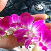 фото из отзыва ID 1115498