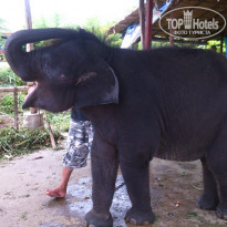 фото из отзыва ID 1115498