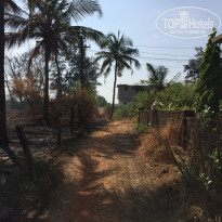 фото из отзыва ID 1115706