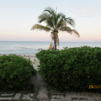 фото из отзыва ID 1115842