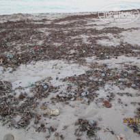 фото из отзыва ID 1115842