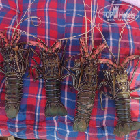 фото из отзыва ID 1115937