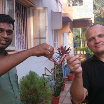 фото из отзыва ID 1115937