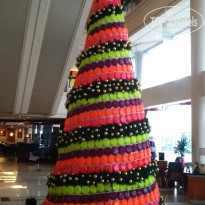 фото из отзыва ID 1116156